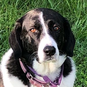 Meet your Posher, Chloe